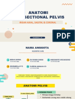 Anatomi Crossectional Pelvis - Kelompok 5 - 4D