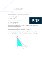 Taller de Dominios y Curvas de Nivel PDF