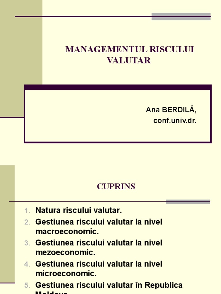 TEMA 6. Managementul Riscului Valutar | PDF