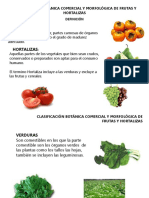 Morfologia de Frutas y Hortalizas 2014 - B PDF