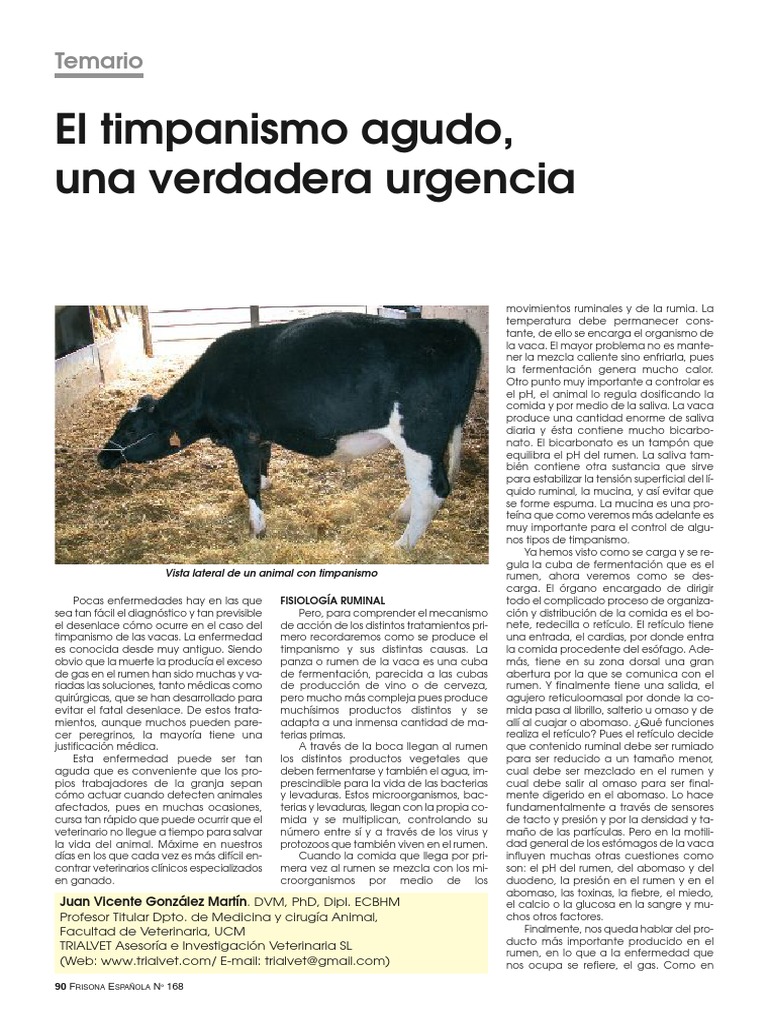 Timpanismo en bovinos: diagnóstico y tratamiento | PDF | Vacas | Biología