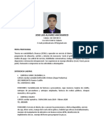 Jose Luis Alvarez Anichiarico: Perfil Profesional