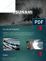 Tsunami