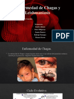 Enfermedad de Chagas y Leishmaniasis