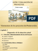 Preparacion y Evaluacion de Proyectos-Estructura Del Proyecto