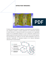 ESTRUCTURA TERCEARIA.docx