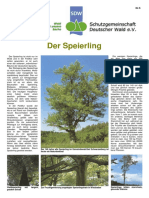 Der Speierling