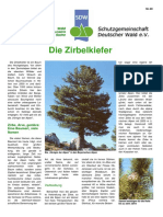 Zirbelkiefer.pdf