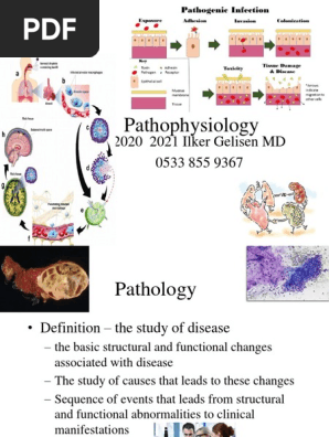 Pathophysiology