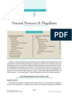 Flagellates PDF