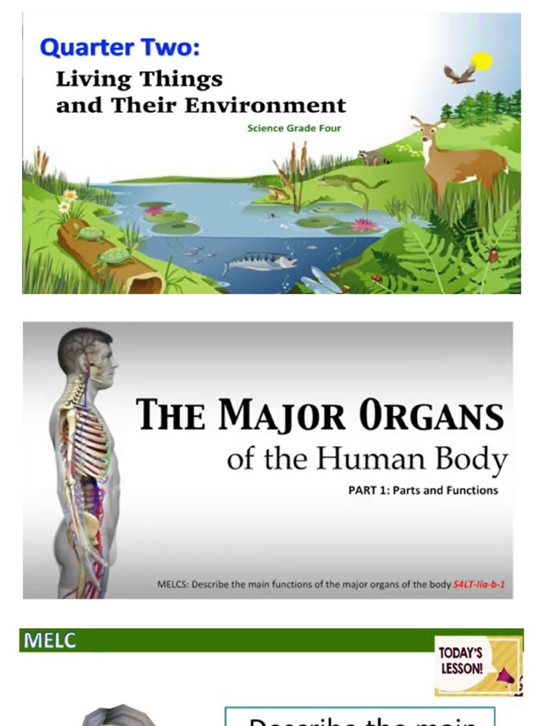 Edited MAJOR ORGANS OF THE BODY LESSON | PDF