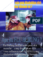 Flu Burung