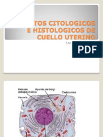 Aspectos citológicos e histológicos del cuello uterino