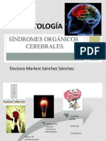 Sindrome Organico Cerebral