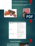 defectodelosembutidos2-181004004124.pdf