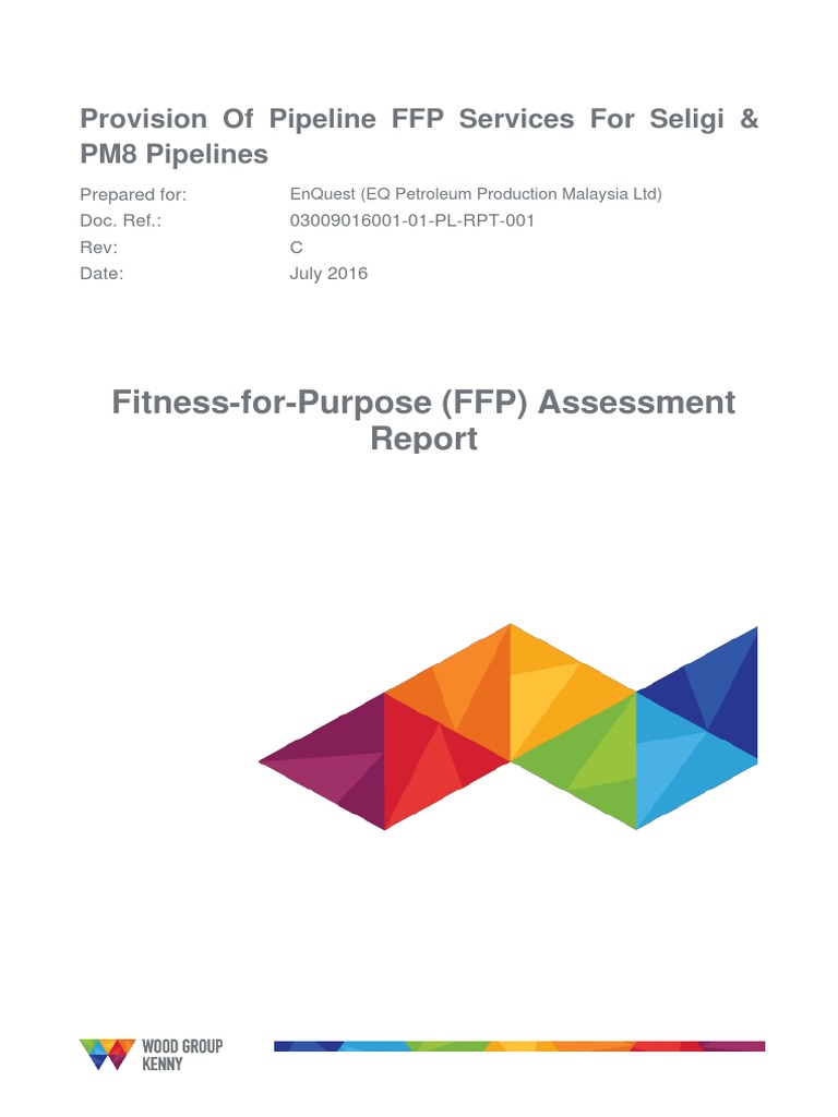 Seligi Pipeline FFP Assessment Report | PDF | Pipeline Transport ...