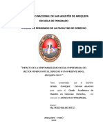 Cerro Verde PDF