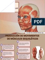 Clase 11 - Fisiología