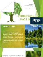 PRODUCCION MAS LIMPIA.pdf