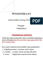 Pengindraan - Ibu Mudji