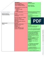 Enfermedades Exantematicas. Cuadro Resumen.