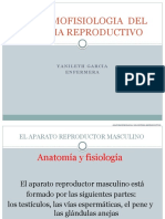 Anatomofisiologia Del Sistema Reproductivo