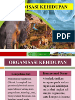 Organisasi Kehidupan