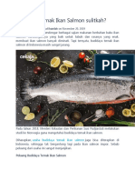 Budidaya Ternak Ikan Salmon Sulitkah