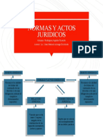 Normas y Actos Juridicos