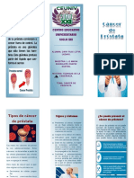 FOLLETO CANCER DE PROSTATA