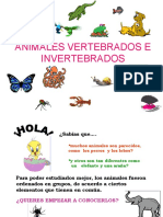 Animalesvertebradoseinvertebrados 090528125904 Phpapp02