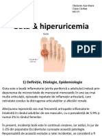 hiperuricemia & guta