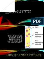 Copy of Kreb-cycle-stryer