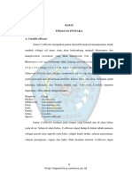 11. BAB II.pdf