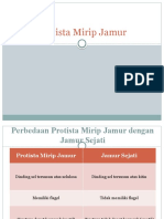 Protista Mirip Jamur