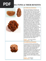 Rudraksha Benefits and Uses PDF