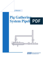 Pig Gathering System Pipelines: Training Module