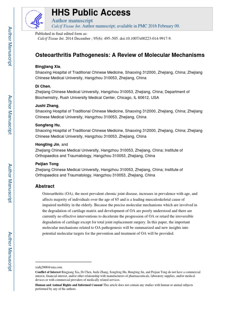 Osteoarthritis Pathogenesis: A Review Of Molecular Mechanisms – MAMOC