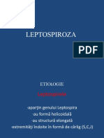 LEPTOSPIROZA