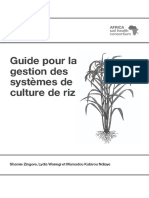 French Rice Guide A4 BW Lowres