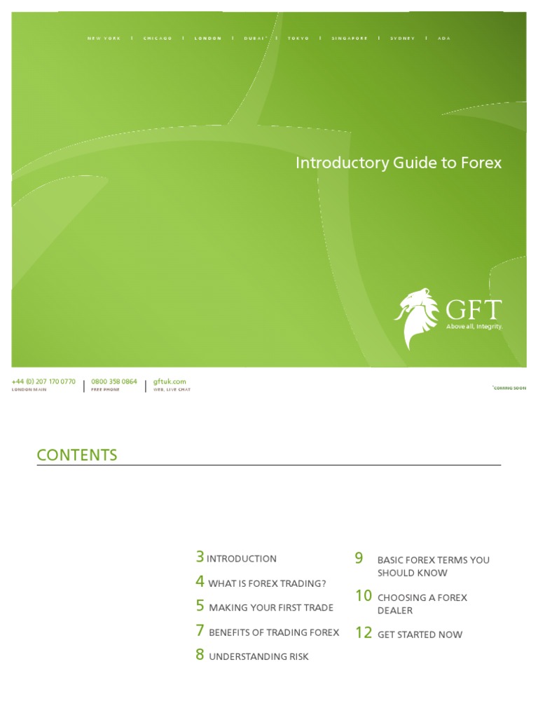 Beginner's Guide to Forex Trading | PDF