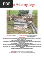 Download Lost 1 by Brook Street Veterinary Clinic SN49125835 doc pdf