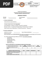 Barangay Profile Template | PDF