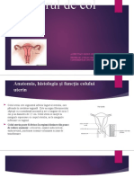 Cancerul de Col Uterin