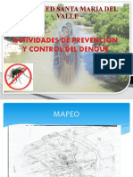 PP Dengue Valle