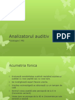 Analizator Auditiv