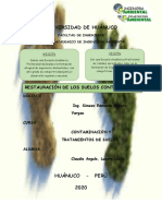 RESTAURACION DE SUELO.docx