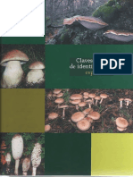 Fdocuments - Ec - Hongos Clave de Identificacion de Especies PDF