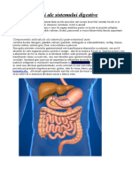 Afectiuni Ale Sistemului Digestive