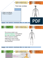 Nervous System: Starter